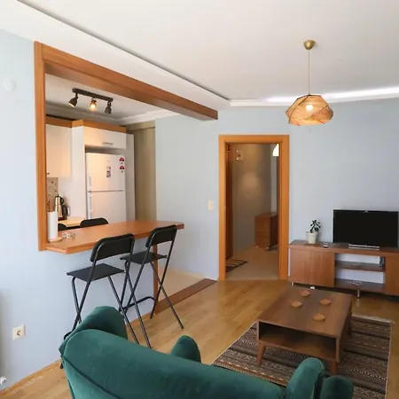 Modern And Stylish Flat In Atasehir Istanbul